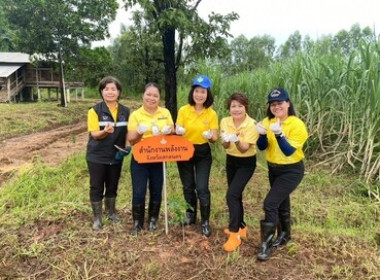 จัดกิจกรรมปลูกป่าเฉลิมพระเกียรติพระบาทสมเด็จพระเจ้าอยู่หัว ... พารามิเตอร์รูปภาพ 12